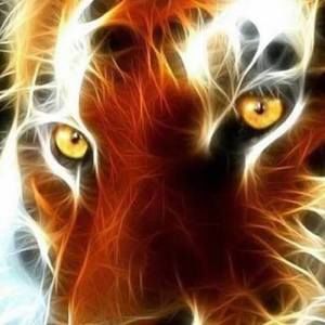 Meet your Posher, Diana